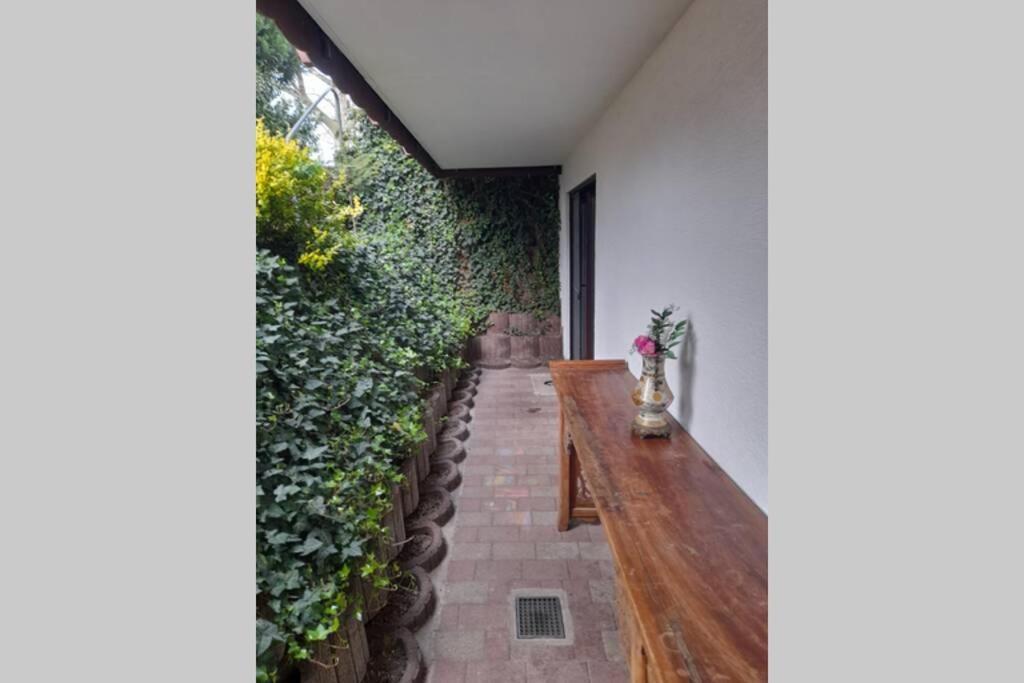Souterrain Wohnung In ベンスハイム エクステリア 写真